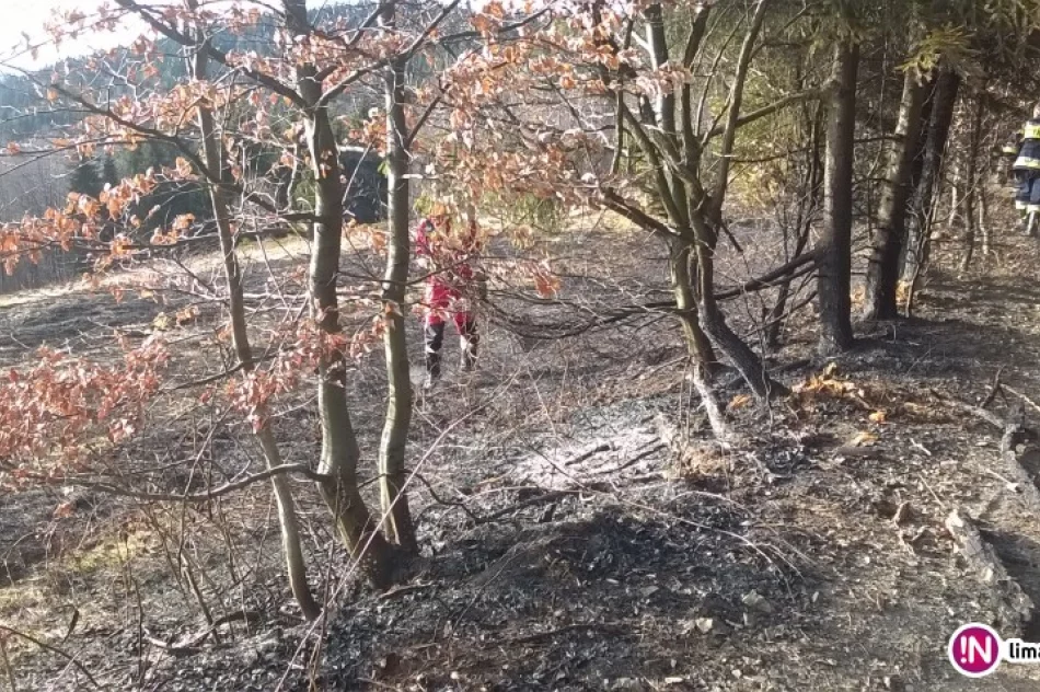 Płonęły trawy na zboczach Jasienia - zdjęcie 4