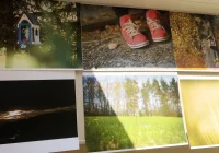 Wyniki IV edycji Konkursu Fotograficznego „W 365 dni dookoła Gminy Limanowa” - zdjęcie główne