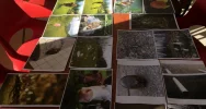Wyniki IV edycji Konkursu Fotograficznego „W 365 dni dookoła Gminy Limanowa” - zdjęcie 3