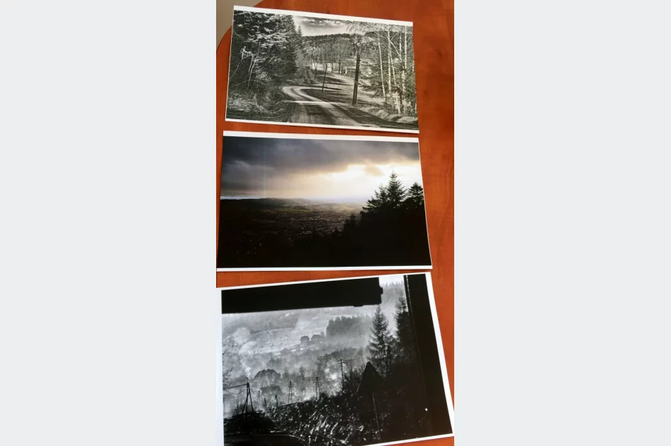 Wyniki IV edycji Konkursu Fotograficznego „W 365 dni dookoła Gminy Limanowa” - zdjęcie 7