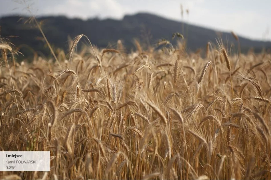 Wyniki IV edycji Konkursu Fotograficznego „W 365 dni dookoła Gminy Limanowa” - zdjęcie 15