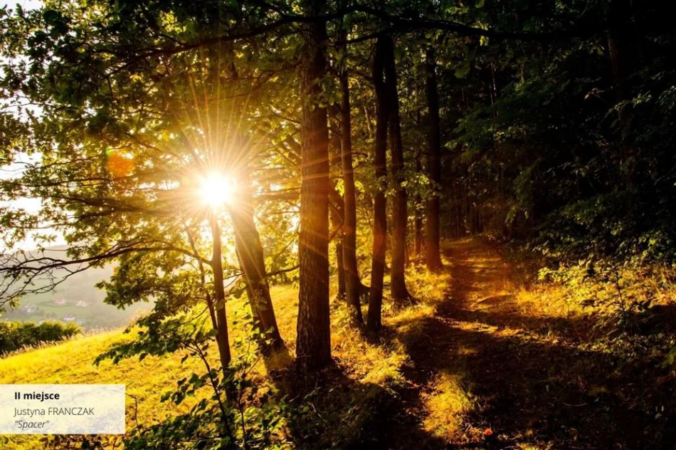 Wyniki IV edycji Konkursu Fotograficznego „W 365 dni dookoła Gminy Limanowa” - zdjęcie 16