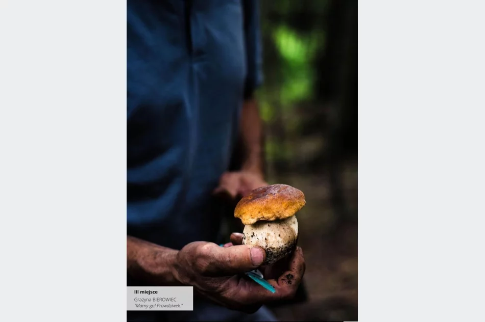 Wyniki IV edycji Konkursu Fotograficznego „W 365 dni dookoła Gminy Limanowa” - zdjęcie 20