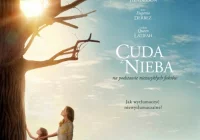 Bilety do kina Sokół: „Cuda z nieba” i „Brooklyn” - zdjęcie główne