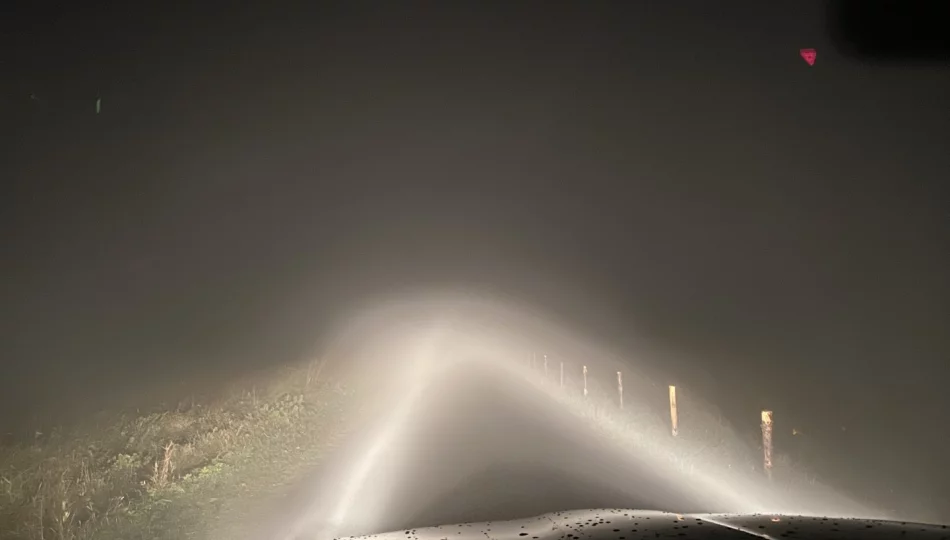 Gęsta mgła - ostrzeżenie IMiGW - zdjęcie 1