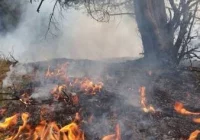 Region: Znów płoną trawy! - zdjęcie główne