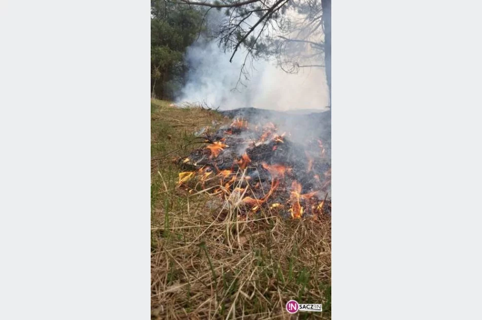 Region: Znów płoną trawy! - zdjęcie 2