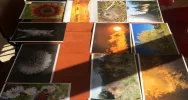 Doroczny konkurs fotograficzny rozstrzygnięty. Zobacz prace laureatów - zdjęcie 4