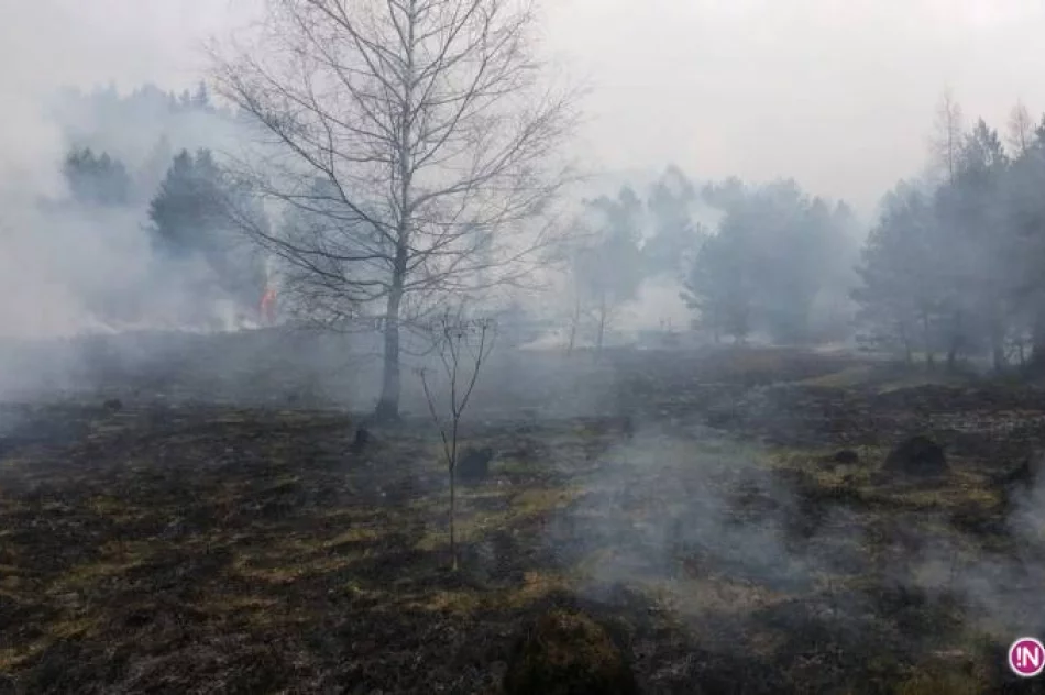 Region: Znów płoną trawy! - zdjęcie 3