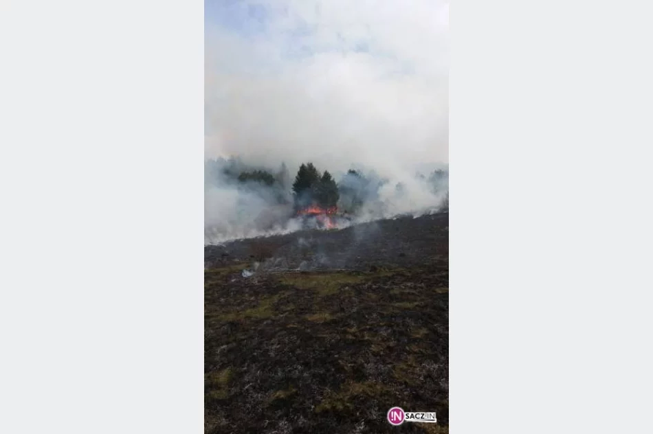 Region: Znów płoną trawy! - zdjęcie 4