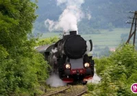 Znany harmonogram przejazdów pociągiem retro - zdjęcie główne