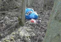 Wyrzucił śmieci w zarośla, zostanie ukarany przez straż miejską - zdjęcie główne