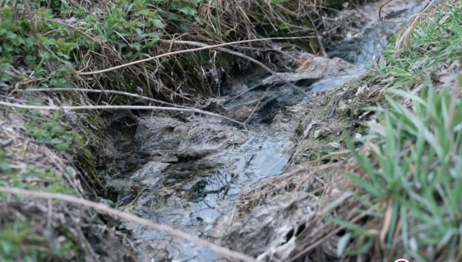 Ścieki trafiły do potoku - zdjęcie 1