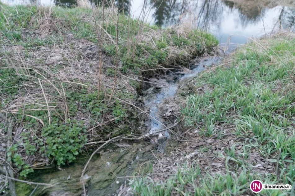 Ścieki trafiły do potoku - zdjęcie 2