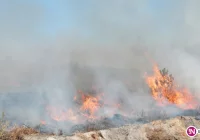 Apel strażaków: stop wypalaniu traw! - zdjęcie główne