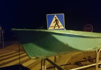 Utka zwana łytką - zdjęcie główne