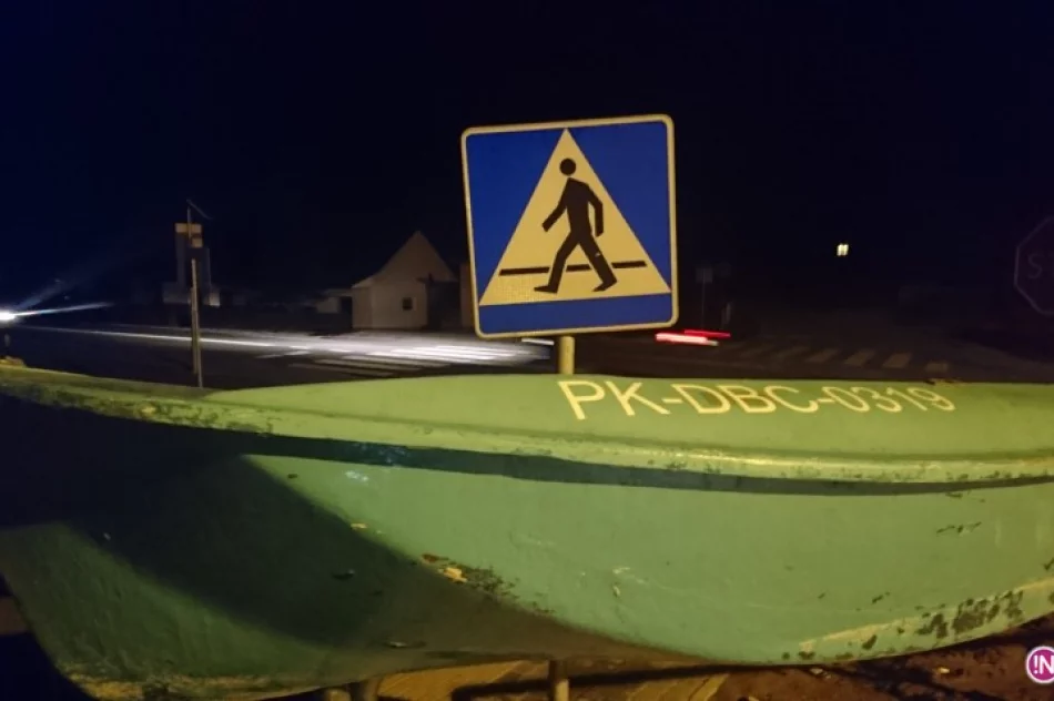 Utka zwana łytką - zdjęcie 2