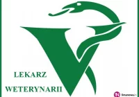 Informacja dla rolników: zamierzasz hodować świnie? Trzeba zgłosić nawet jedną - zdjęcie główne