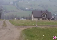 W regionie pojawiły się pierwsze bociany! - zdjęcie główne