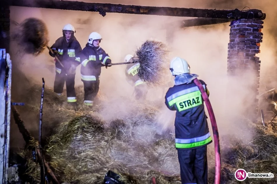 Nocny pożar zabudowań gospodarczych (wideo) - zdjęcie 4