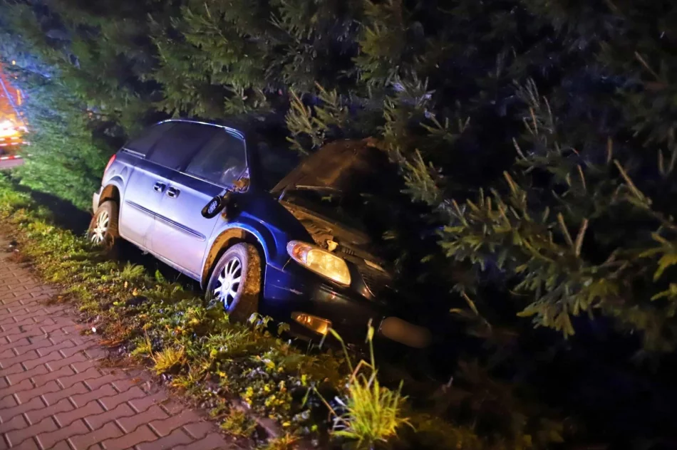 Śmigłowiec LPR zabrał potrąconego pieszego - zdjęcie 2