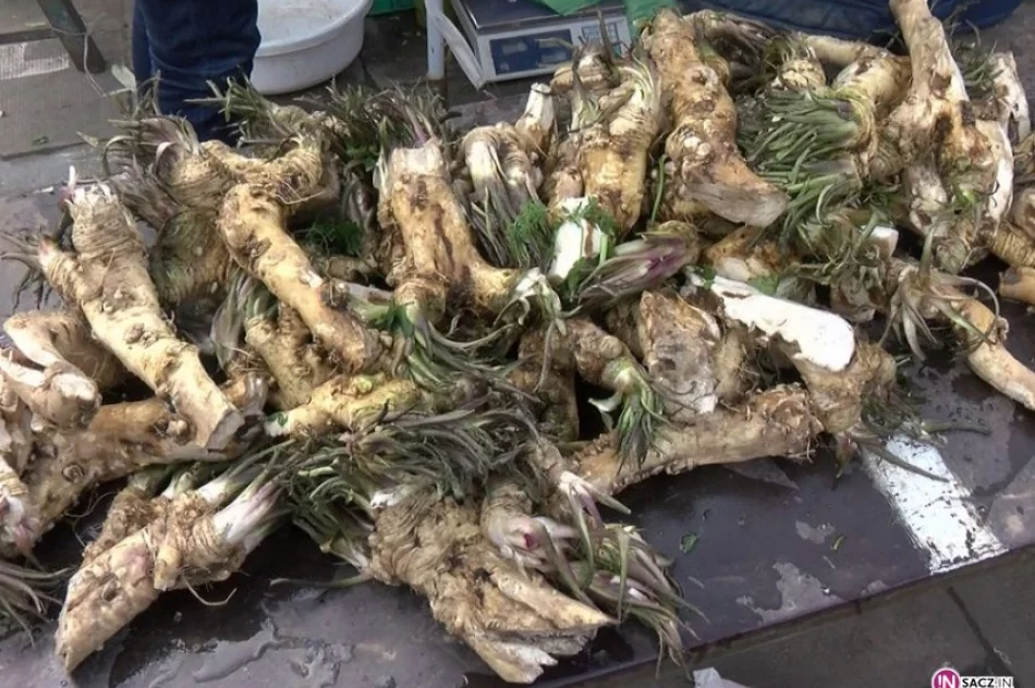 Szał świątecznych zakupów na „Maślanym” - zdjęcie 2