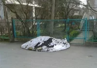 Intwerwencja – Nowy Sącz: kupa węgla już od roku leży pod domem! - zdjęcie główne