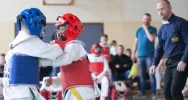N.O.W.I. Kyokushin Cup 2019 za nami! - zdjęcie 3