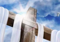 Triduum Paschalne w Nowym Sączu - zdjęcie główne