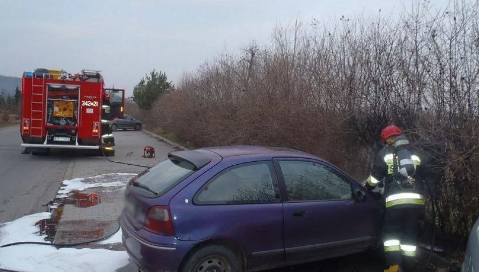 Stary Sącz: pożar na ogródkach działkowych - zdjęcie 1