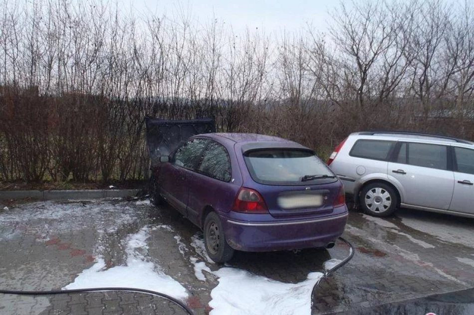 Stary Sącz: pożar na ogródkach działkowych - zdjęcie 2