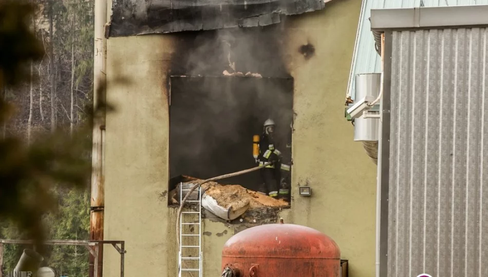 Pożar w stolarni, straty na 85 tys. zł (wideo) - zdjęcie 1
