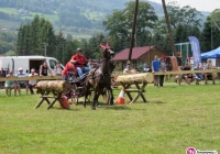 41 zaprzęgów w jubileuszowym konkursie powożenia - zdjęcie główne