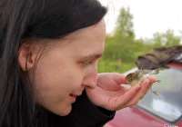 Kawka bawiła się w chowanego - zdjęcie główne