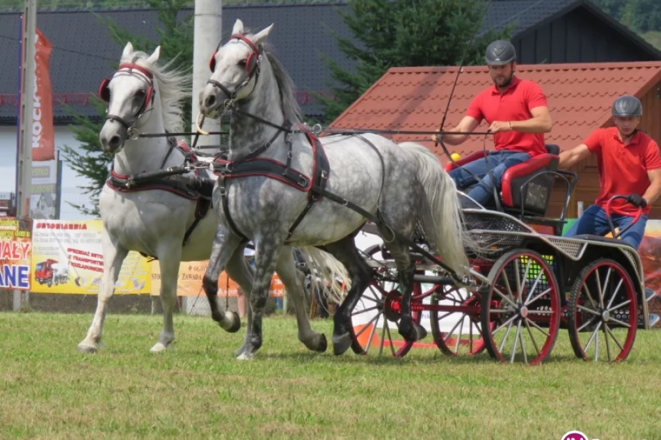 41 zaprzęgów w jubileuszowym konkursie powożenia - zdjęcie 3
