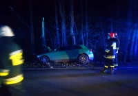 Samochód wypadł z jezdni i uderzył w przydrożne drzewo - zdjęcie główne