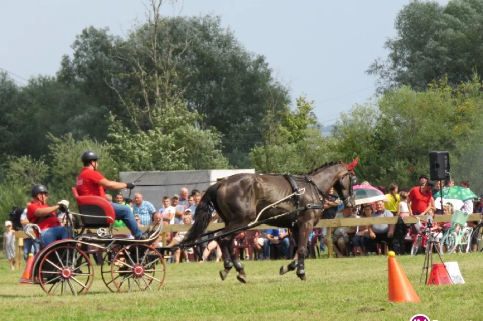 41 zaprzęgów w jubileuszowym konkursie powożenia - zdjęcie 4