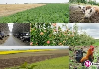 Zmiany w ubezpieczeniach rolnych - zdjęcie główne