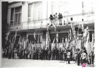 Jutro konkurs palm. Zobacz jak wyglądał on 31 lat temu - zdjęcie główne