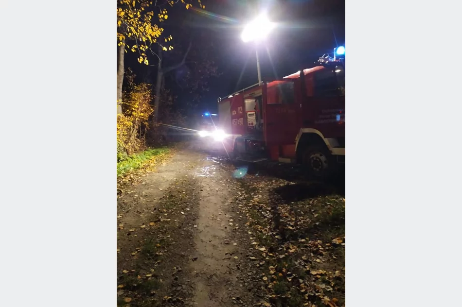 Doszczętnie spłonął samochód - zdjęcie 2