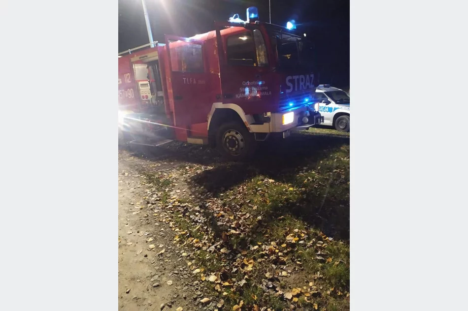 Doszczętnie spłonął samochód - zdjęcie 3