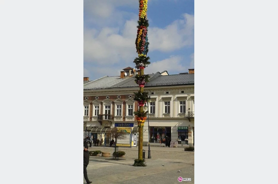 Święta tuż tuż… palma na Rynku już jest (FOTO) - zdjęcie 2