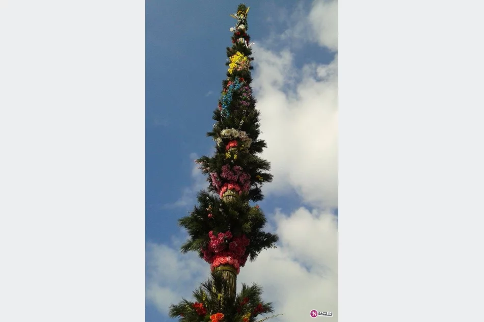 Święta tuż tuż… palma na Rynku już jest (FOTO) - zdjęcie 3