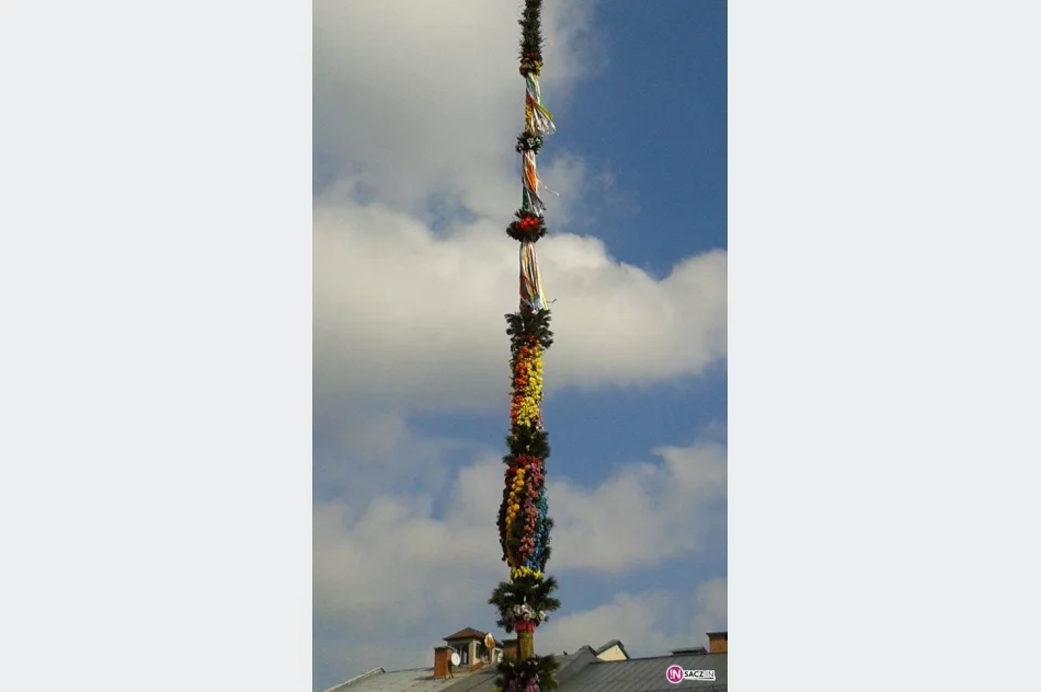 Święta tuż tuż… palma na Rynku już jest (FOTO) - zdjęcie 4