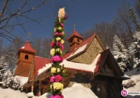 Zbliża się Konkurs Palm Wielkanocnych - zdjęcie główne
