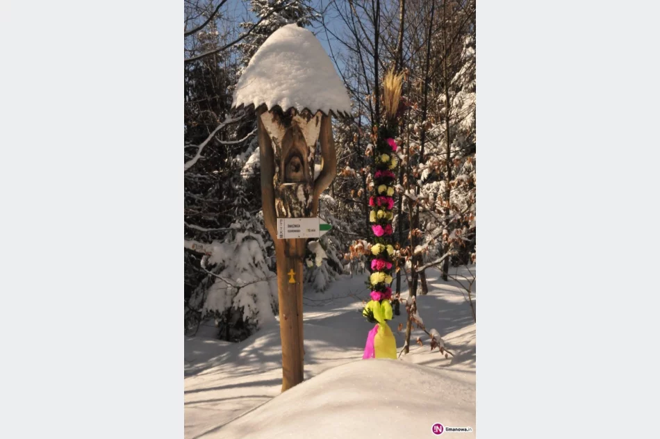 Zbliża się Konkurs Palm Wielkanocnych - zdjęcie 2