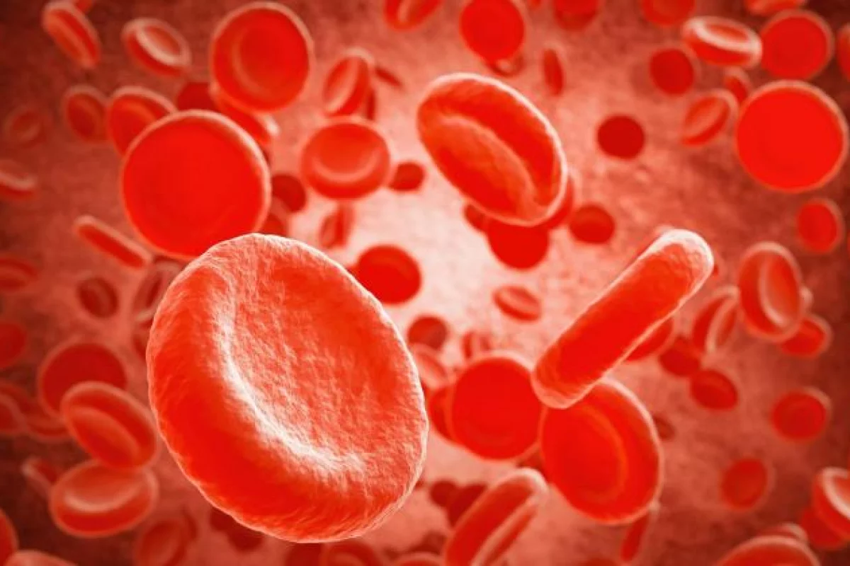 Badania: grupa krwi może wpływać na przebieg COVID-19