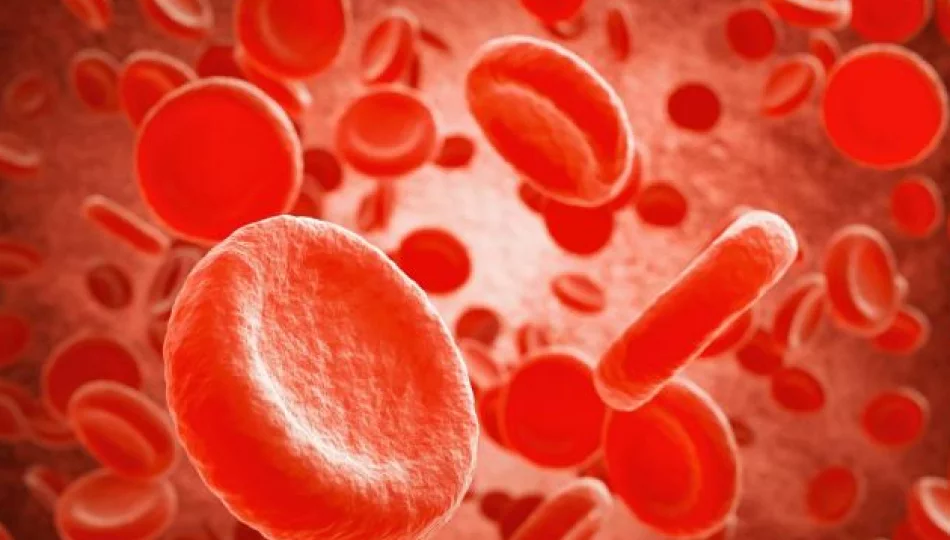 Badania: grupa krwi może wpływać na przebieg COVID-19 - zdjęcie 1