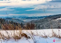 Powrót zimy – IMGW prognozuje do 13 centymetrów śniegu - zdjęcie główne