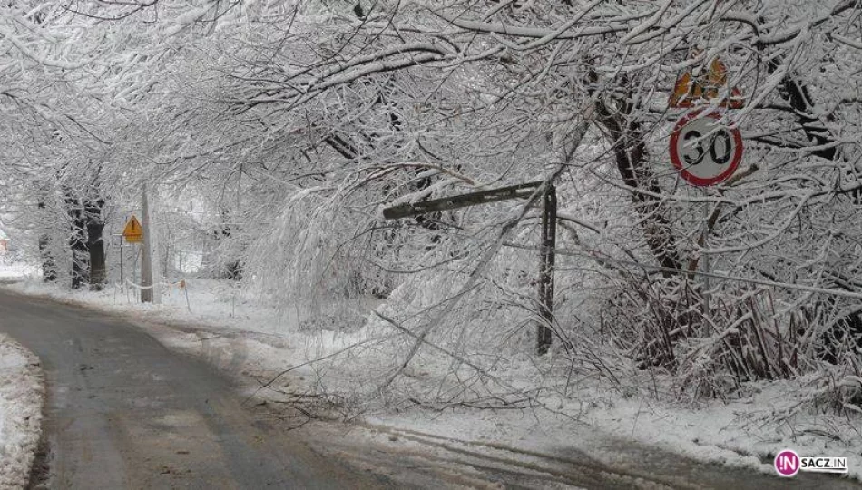 Uwaga, będzie padał śnieg - zdjęcie 1